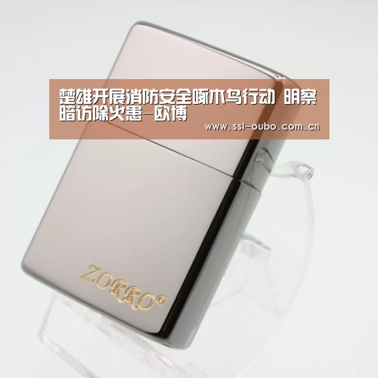 楚雄开展消防安全啄木鸟行动 明察暗访除火患-欧博(图3) 欧博娱乐