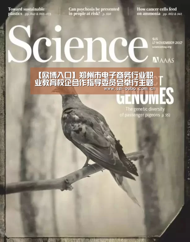 【欧博入口】郑州市电子商务行业职业教育校企合作指导委员会举行主题论坛(图2) 欧博