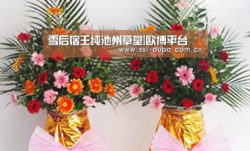 雪后宿王纯池州草堂|欧博平台(图3) 欧博