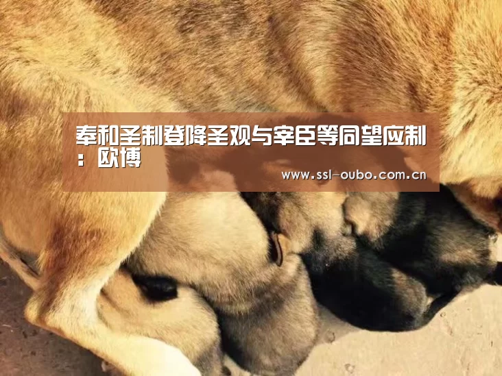 欧博
