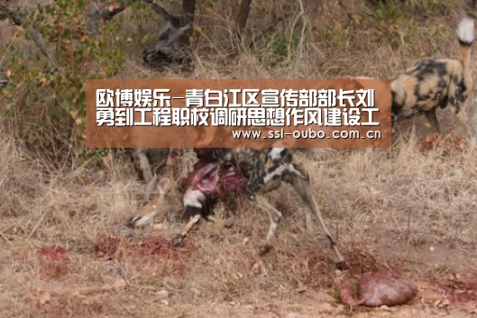 欧博入口